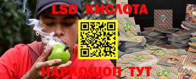 трава Кандалакша