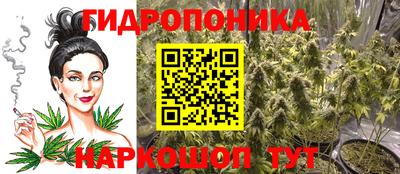 кокс Кингисепп
