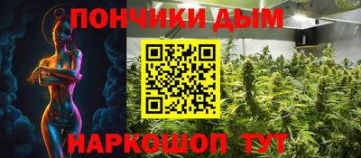 кокс Кингисепп