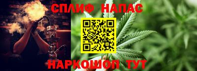 трава Кандалакша