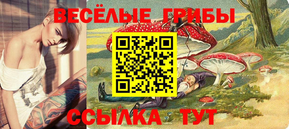 Псилоцибиновые грибы Magic Shrooms Кумертау