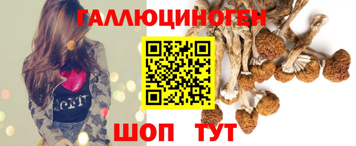 Галлюциногенные грибы мухоморы  Псилоцибиновые грибы MAGIC MUSHROOMS  Кумертау  Вход с VPN 